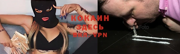 стафф Алзамай